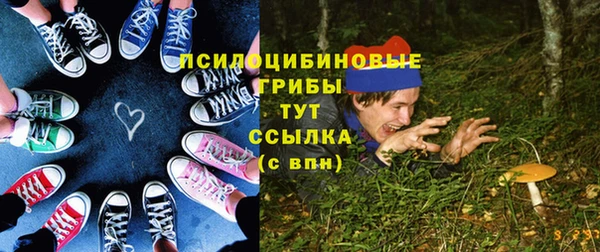 кокс Козловка
