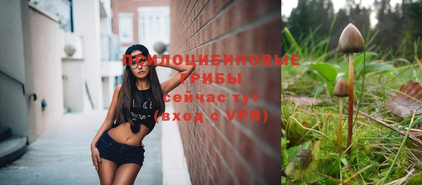 соль курить ск Алексеевка