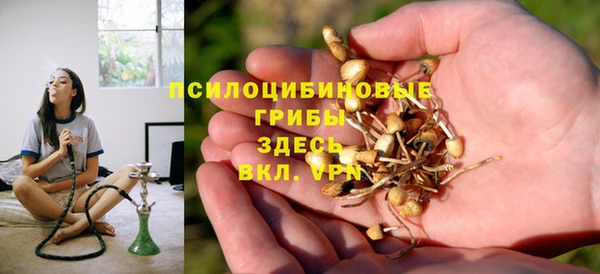 ALPHA PVP Алзамай