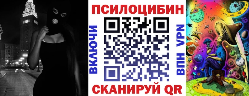 Галлюциногенные грибы Psilocybe  Тула 